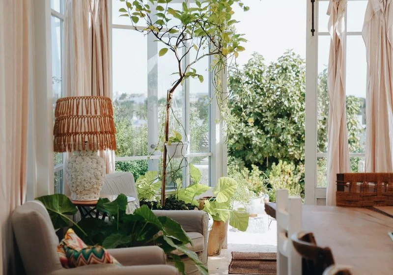 Bright garden room with tall glazed windows and plants