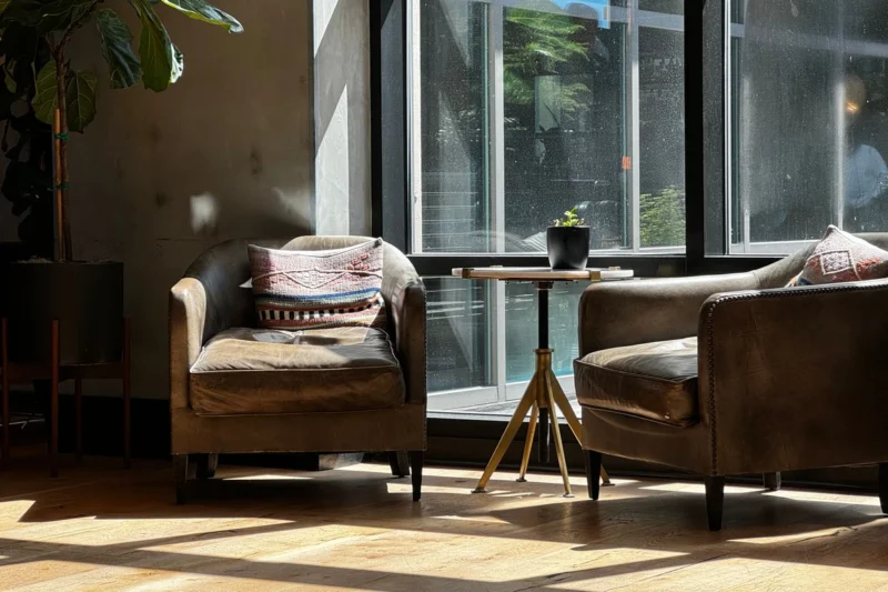 Armchairs in a living room with sun streaming through large windows